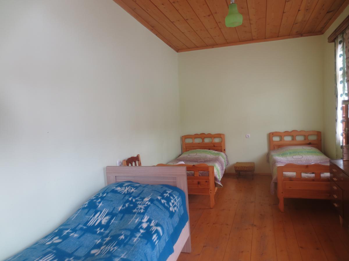 Irma Beso & Aleko Khergianis Guesthouse Mestia Buitenkant foto