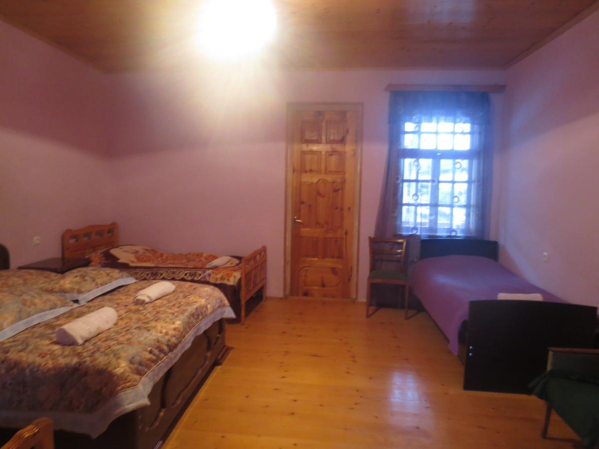 Irma Beso & Aleko Khergianis Guesthouse Mestia Buitenkant foto