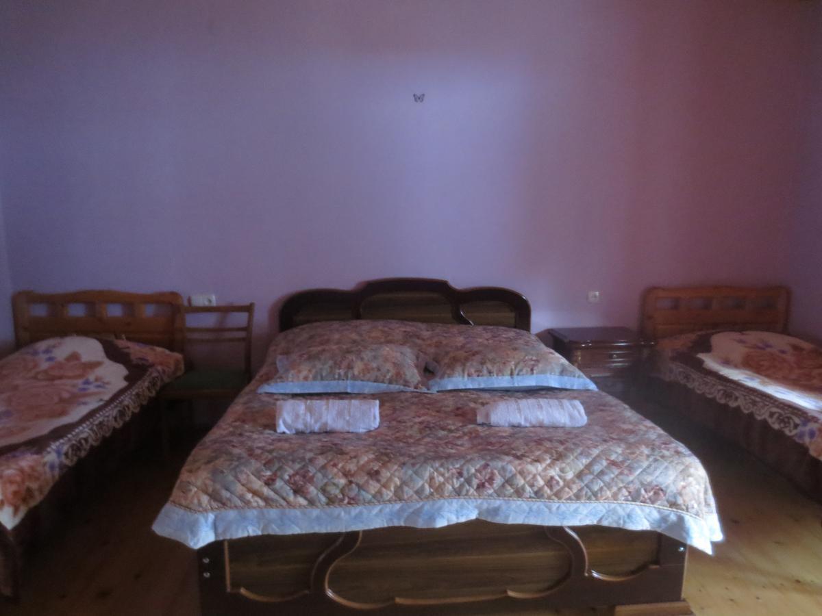 Irma Beso & Aleko Khergianis Guesthouse Mestia Buitenkant foto